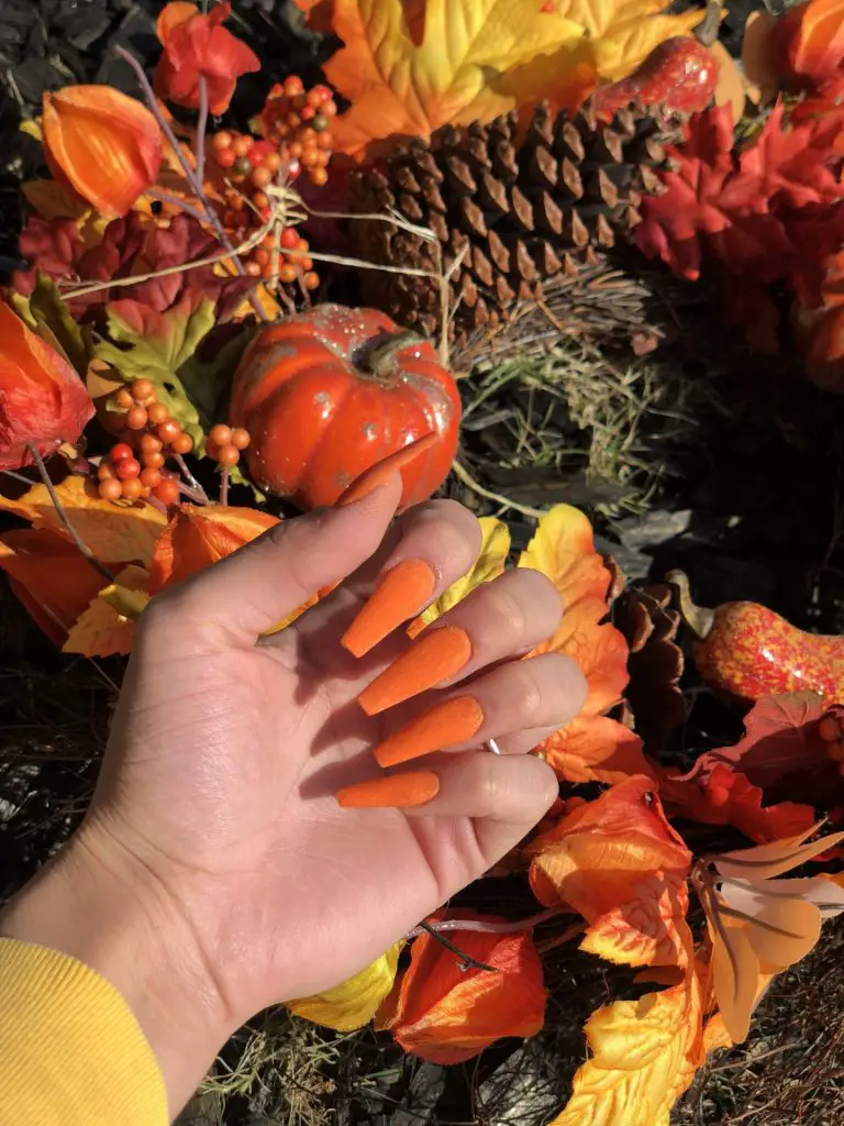 Fall Nail Colors: Orange 24 Ideas for a Stylish Look