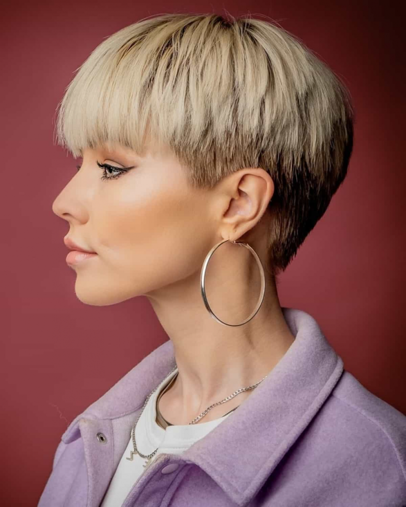 Pixie Hairstyles for Fall 24 Ideas