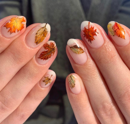 Fall Nails Round French 16 Ideas: Embrace Elegance and Warmth for the Season