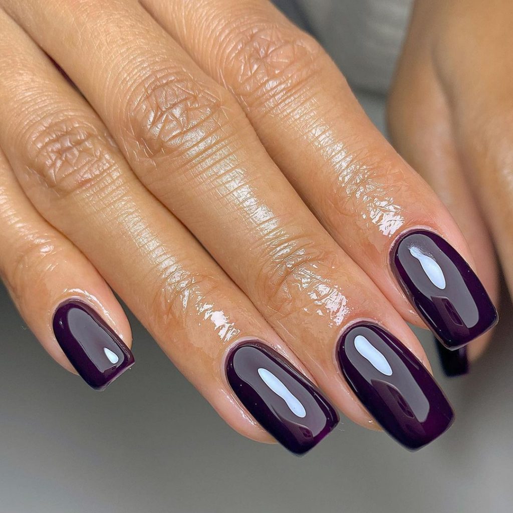 Fall Nail Colors: Captivating Purple 20 Ideas to Elevate Your Style