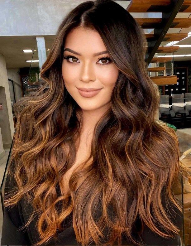 Winter Hair Color for Brunettes 2023-2024 16 Ideas