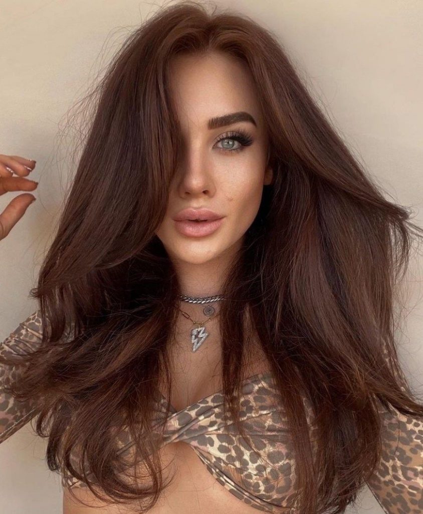 Winter Hair Color for Brunettes 2023-2024 16 Ideas