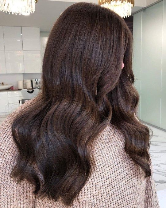 Winter Hair Color for Brunettes 2023-2024 16 Ideas