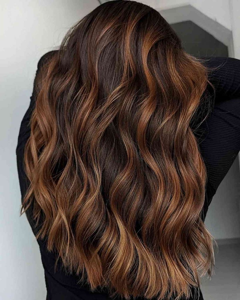 Winter Hair Color for Brunettes 2023-2024 16 Ideas