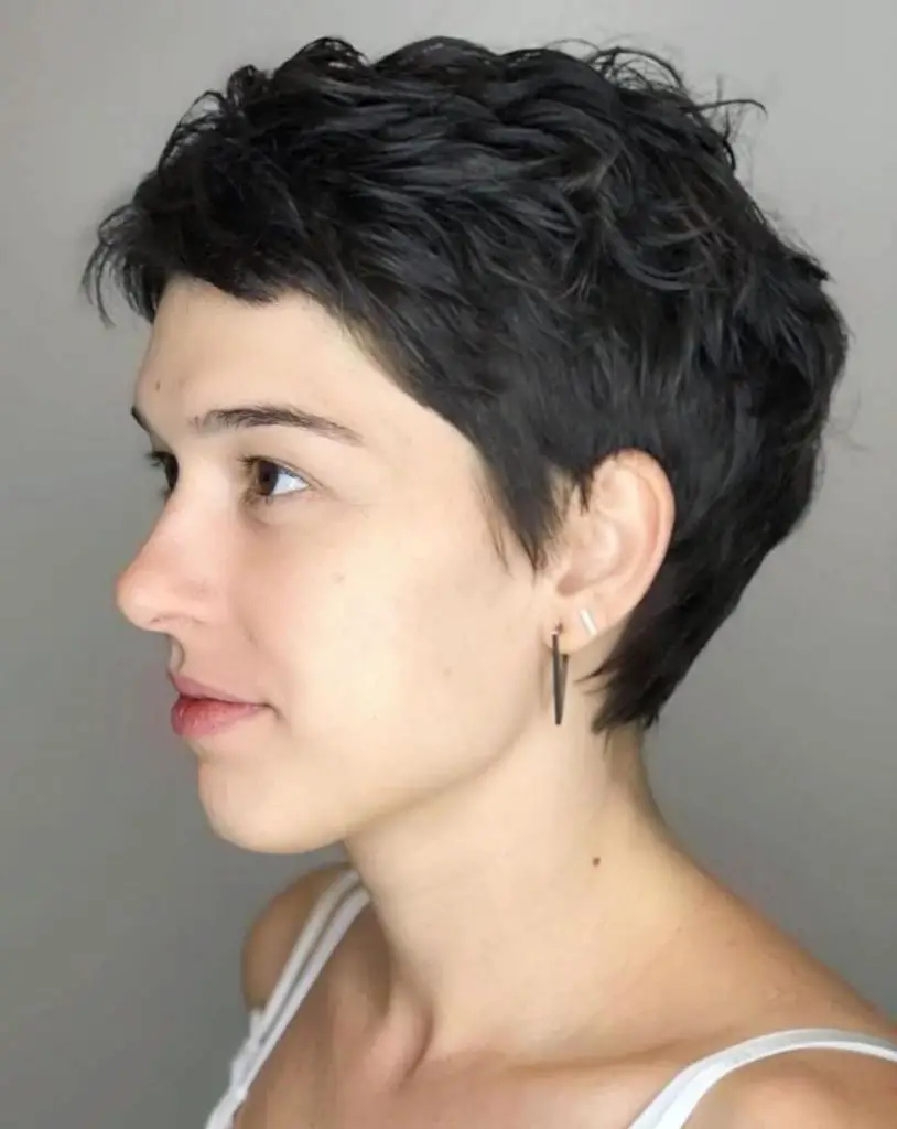 Winter Pixie Haircut 2023 - 2024 21 Ideas