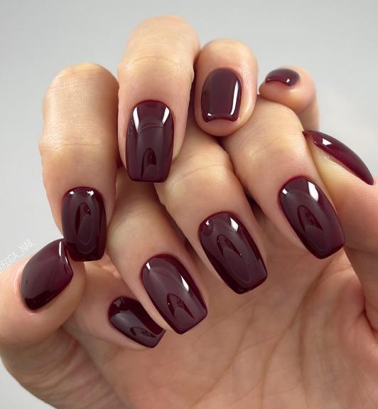 Burgundy Nail Colors Winter 2023 - 2024 16 Ideas