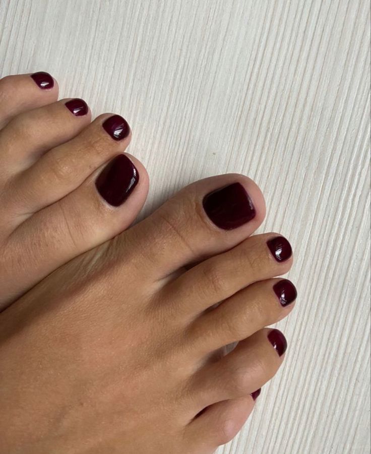 Winter Nail Toe Colors 2023 - 2024 20 Ideas: Embrace the Season in Style