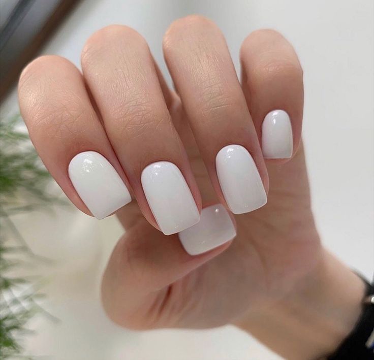 Winter Nails Solid Color 2023-2024 16 Ideas: A Trendy Guide