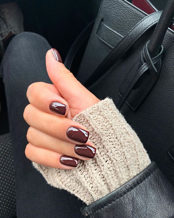 Easy Winter Nail 2023-2024 20 Ideas: Nail Art Inspiration for the Coziest Season