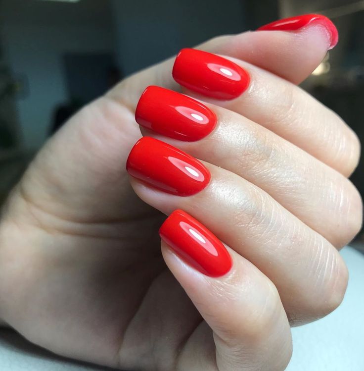 Solid Color Nails Winter 2023-2024 20 Ideas