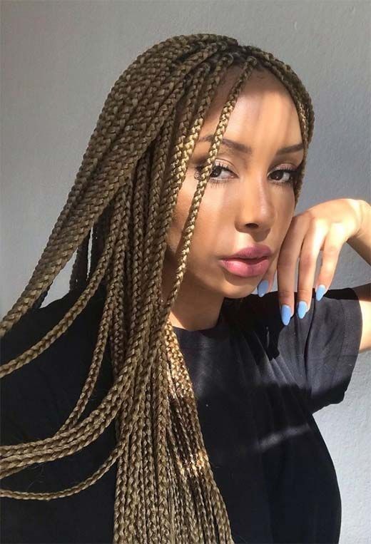 Fulani Braids Hairstyles 2024 20 Ideas: Unveiling the Latest Trends and Designs