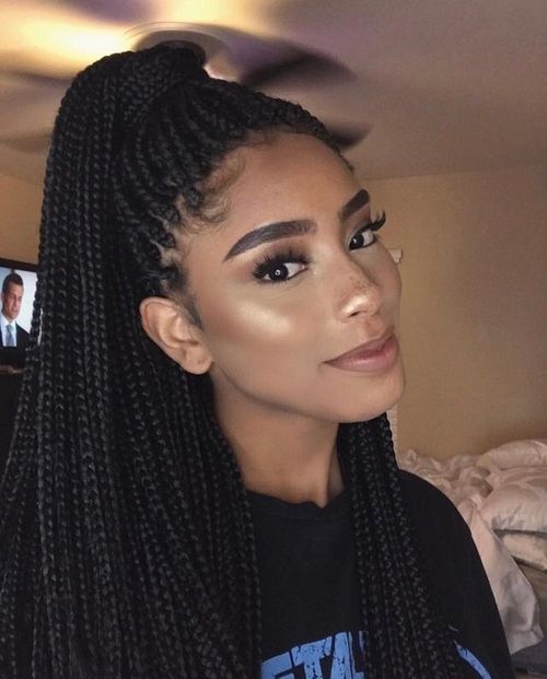 Dámské účesy Twist Braids 2024 18 nápadů: Odhalení nejžhavějších trendů