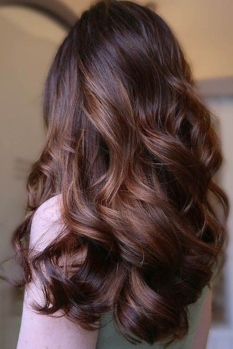 Spring Hair Color 16 Ideas for Dark Hair 2024: Transform Your Look