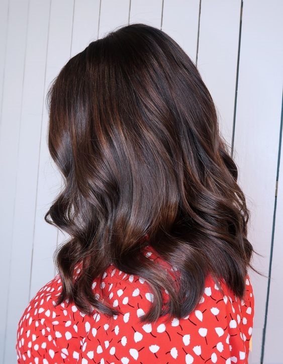 Spring Hair Color 16 Ideas for Dark Hair 2024: Transform Your Look