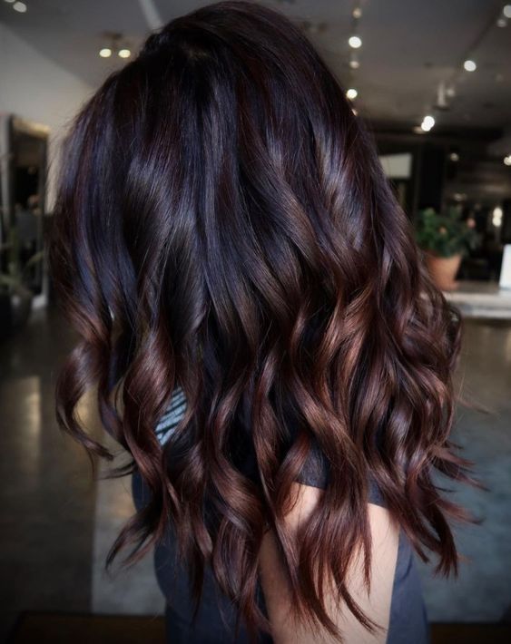 Spring Hair Color 16 Ideas for Dark Hair 2024: Transform Your Look