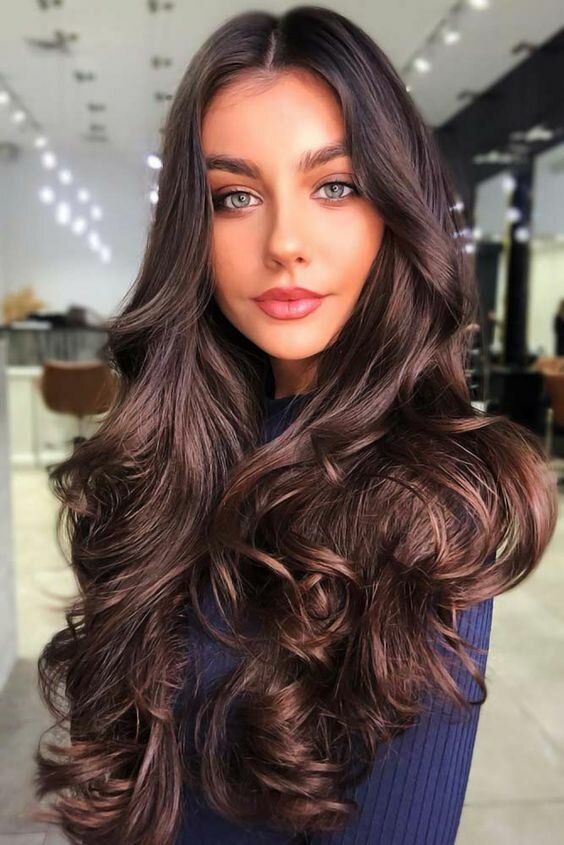 Spring Hair Color Trends for Brunettes 2024 15 Ideas: Embracing Elegance and Vibrancy