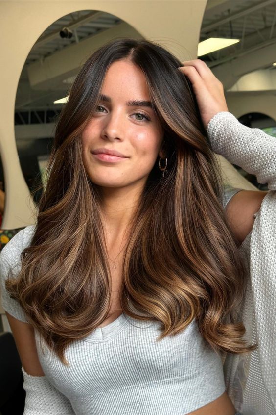 Spring Hair Color Trends for Brunettes 2024 15 Ideas: Embracing Elegance and Vibrancy