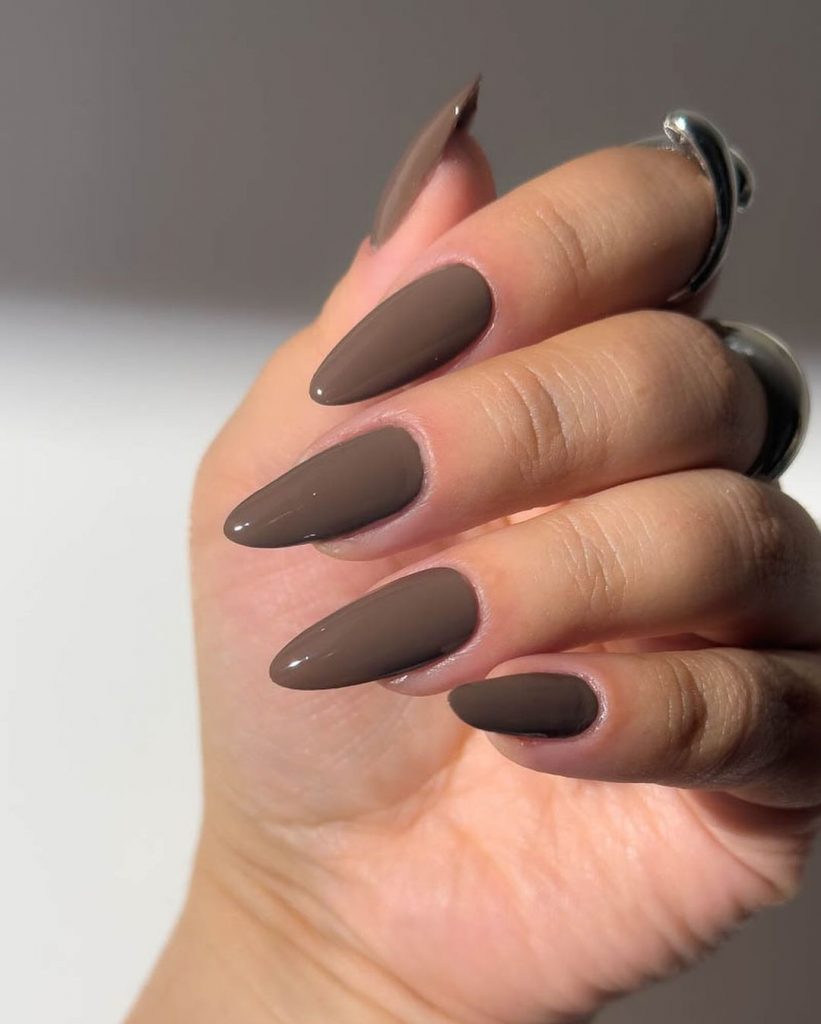 Brown Fall Nails 27 Ideas: The Ultimate Guide to Chic and Cozy Autumn Manicures