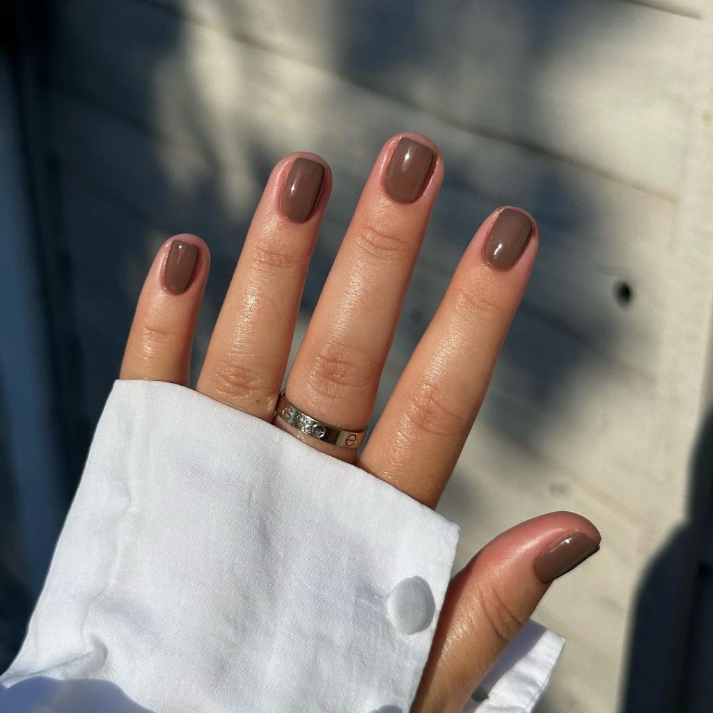 Brown Fall Nails 27 Ideas: The Ultimate Guide to Chic and Cozy Autumn Manicures