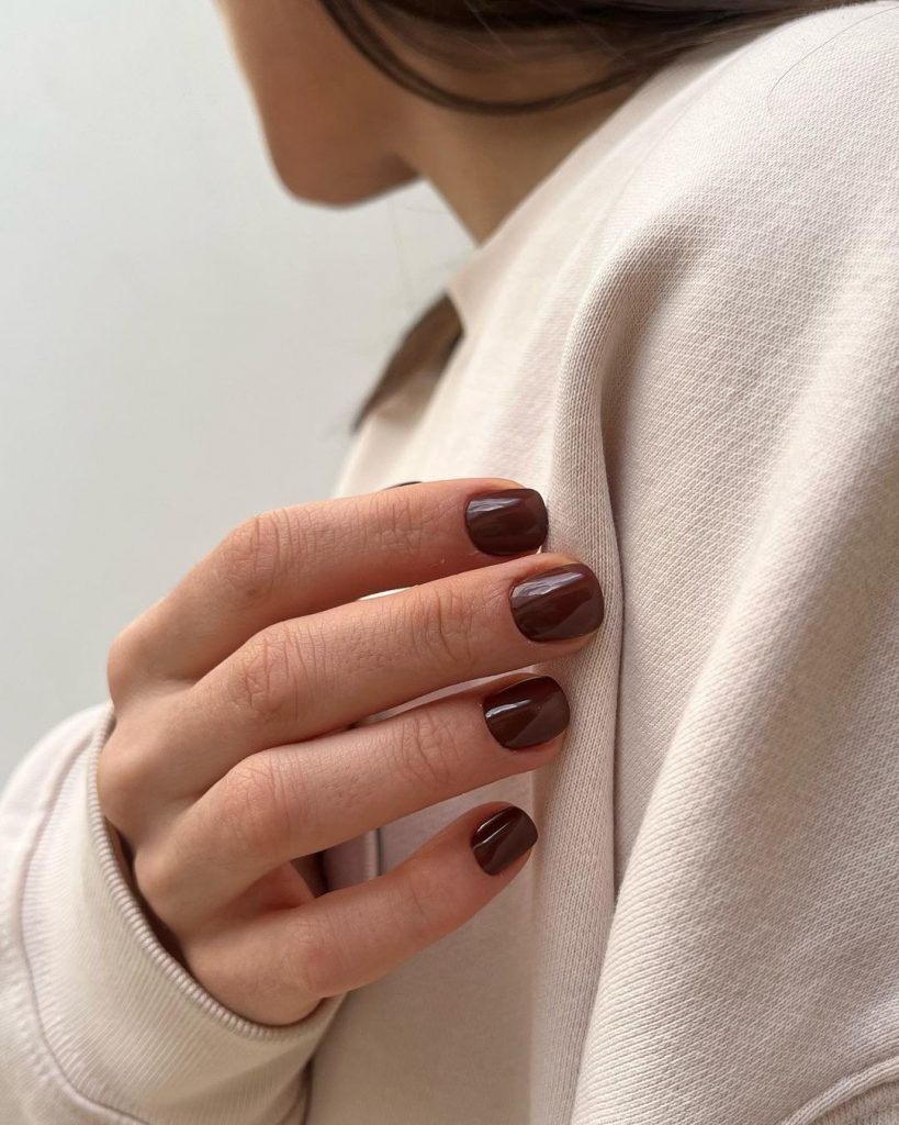 Brown Fall Nails 27 Ideas: The Ultimate Guide to Chic and Cozy Autumn Manicures