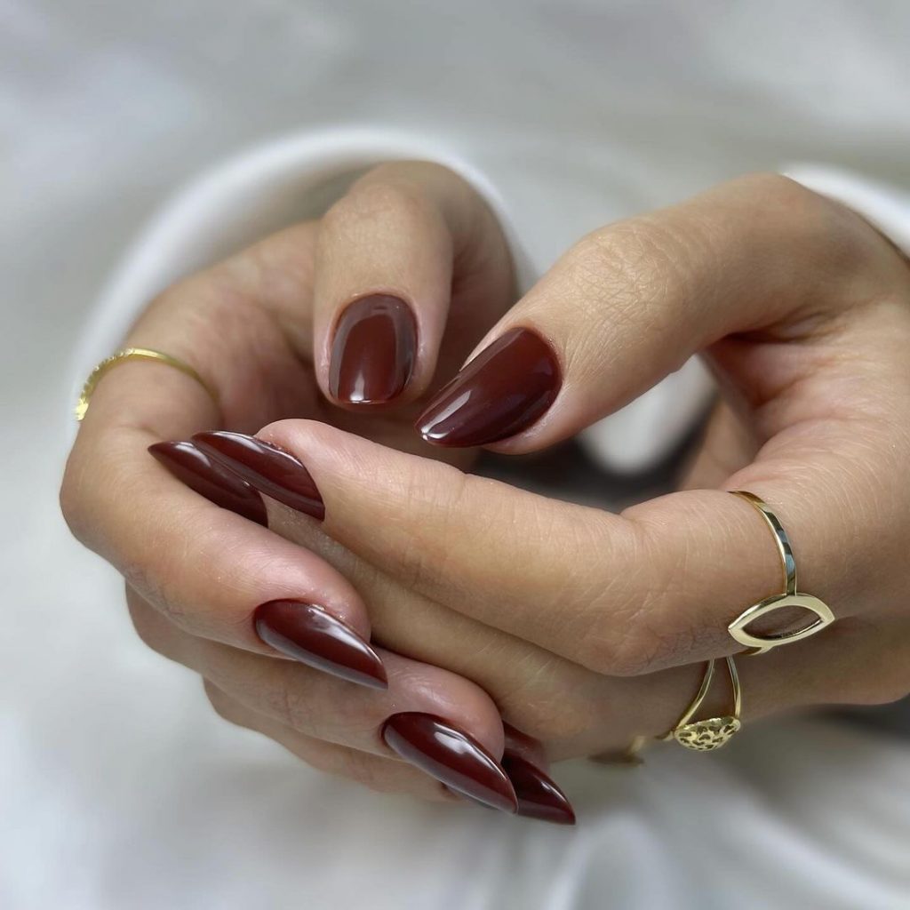 Brown Fall Nails 27 Ideas: The Ultimate Guide to Chic and Cozy Autumn Manicures