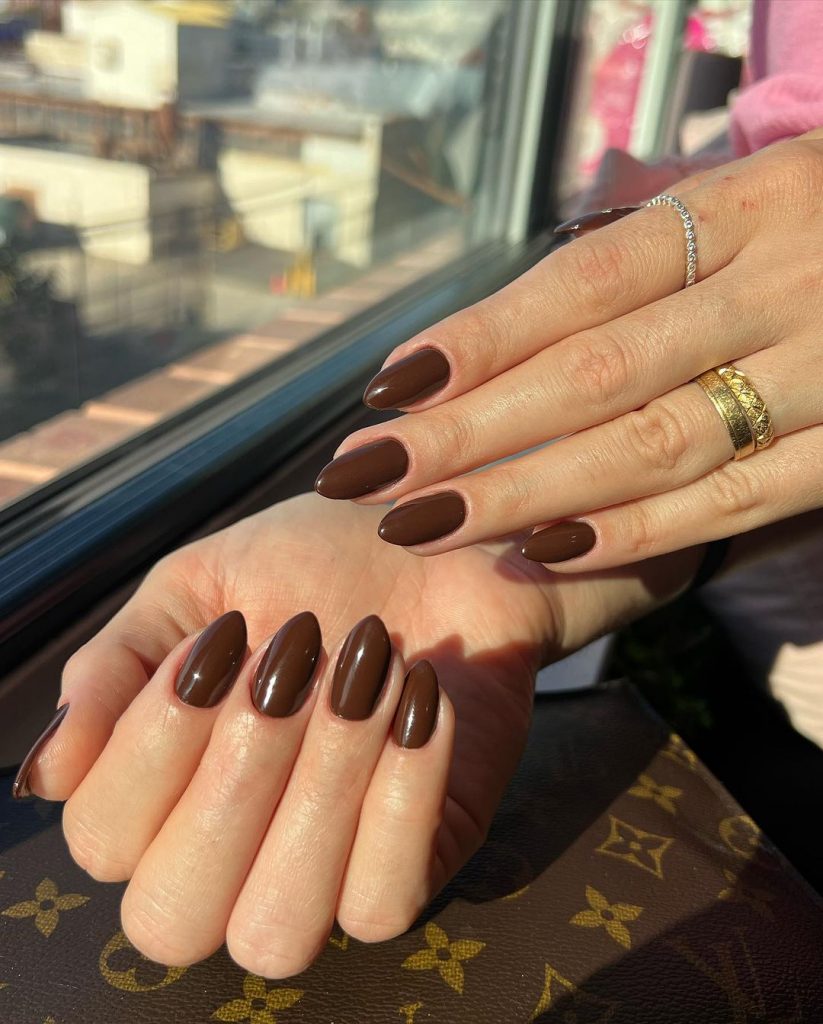 Brown Fall Nails 27 Ideas: The Ultimate Guide to Chic and Cozy Autumn Manicures