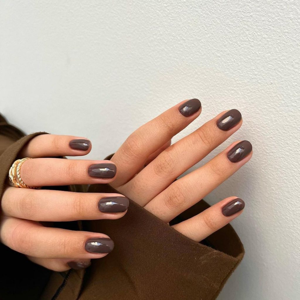 Brown Fall Nails 27 Ideas: The Ultimate Guide to Chic and Cozy Autumn Manicures