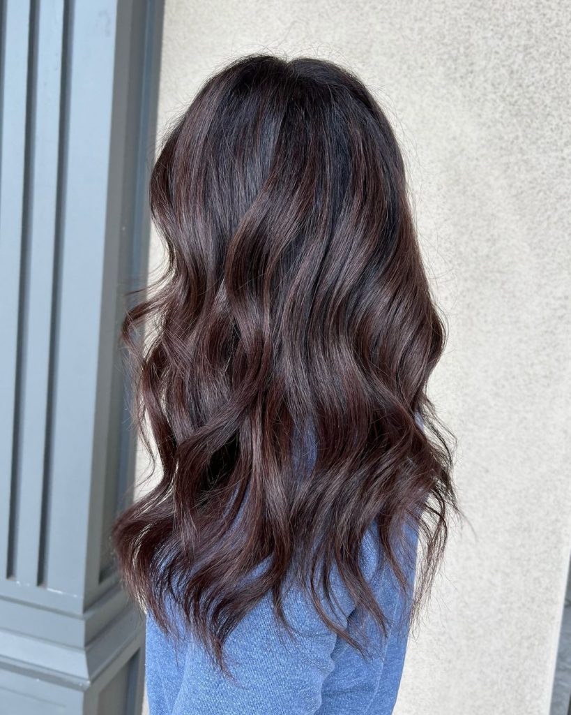 Fall Hair Color for Brunettes 2024 26 Ideas