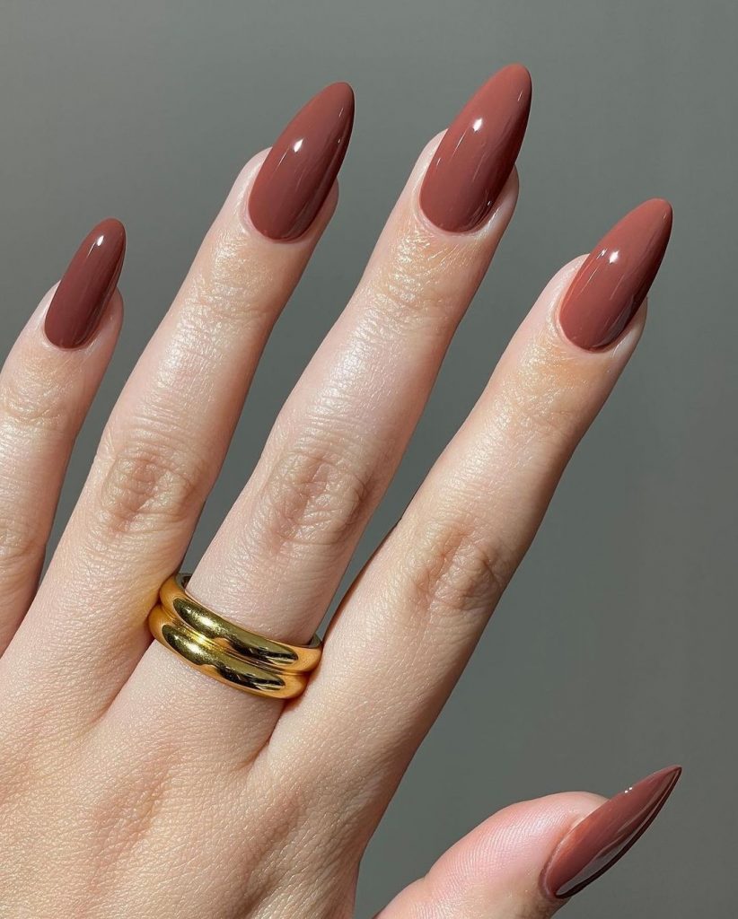 Brown Fall Nails 27 Ideas: The Ultimate Guide to Chic and Cozy Autumn Manicures