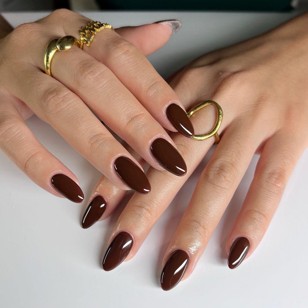 Brown Fall Nails 27 Ideas: The Ultimate Guide to Chic and Cozy Autumn Manicures