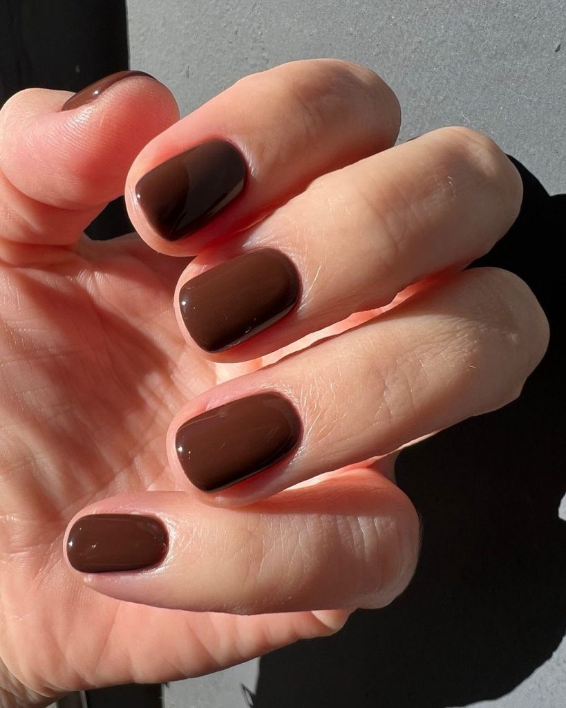 Brown Fall Nails 27 Ideas: The Ultimate Guide to Chic and Cozy Autumn Manicures