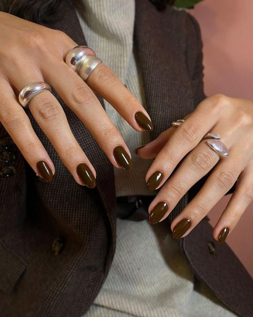 Brown Fall Nails 27 Ideas: The Ultimate Guide to Chic and Cozy Autumn Manicures