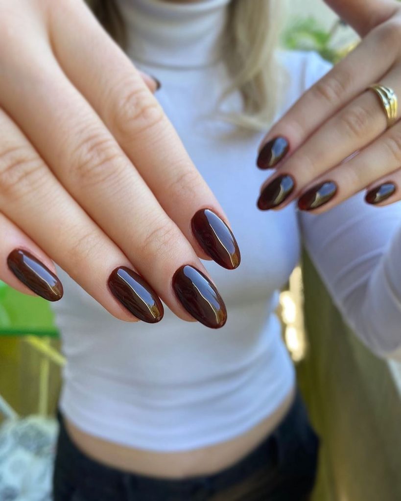 Brown Fall Nails 27 Ideas: The Ultimate Guide to Chic and Cozy Autumn Manicures