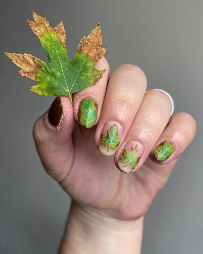 Short Fall Nails 2024: Inspiration and 27 Ideas