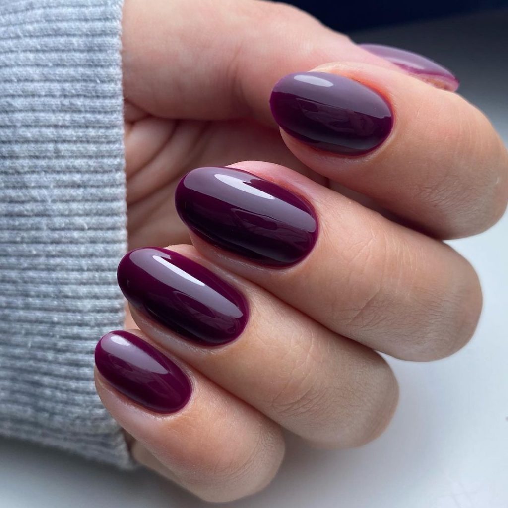 Top Dark Fall Nail Colors 2024 25 Ideas: Trendy Designs and Inspiration