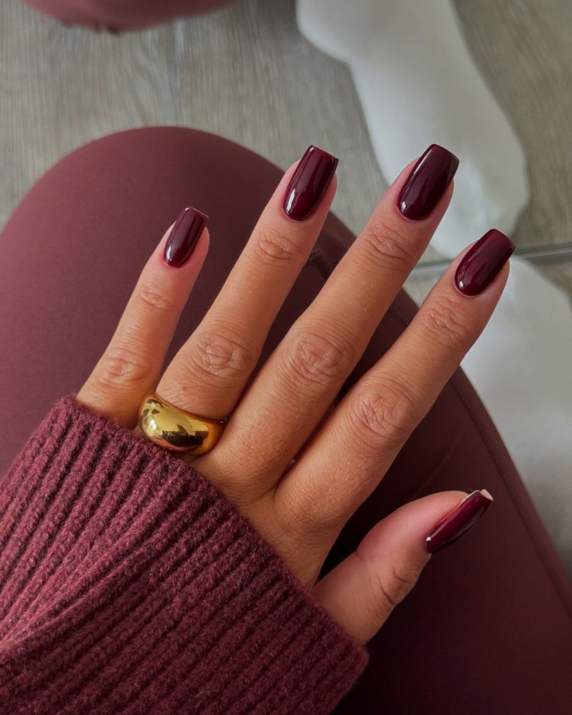 Winter Nails Colors for Women Over 40 27 Ideas