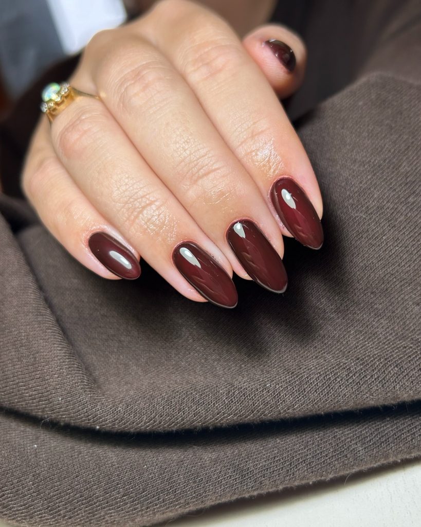 Winter Nails 2024 - 2025: Trends to Watch 25 Ideas