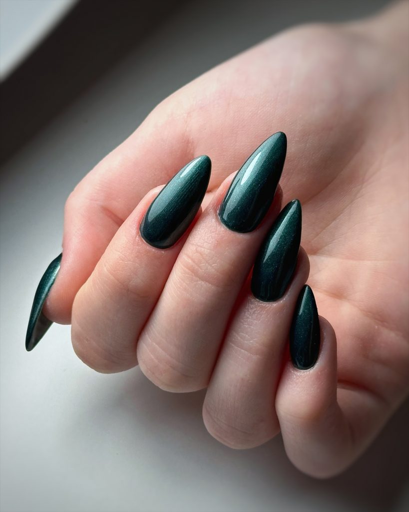 Winter Nails 2024 - 2025: Trends to Watch 25 Ideas