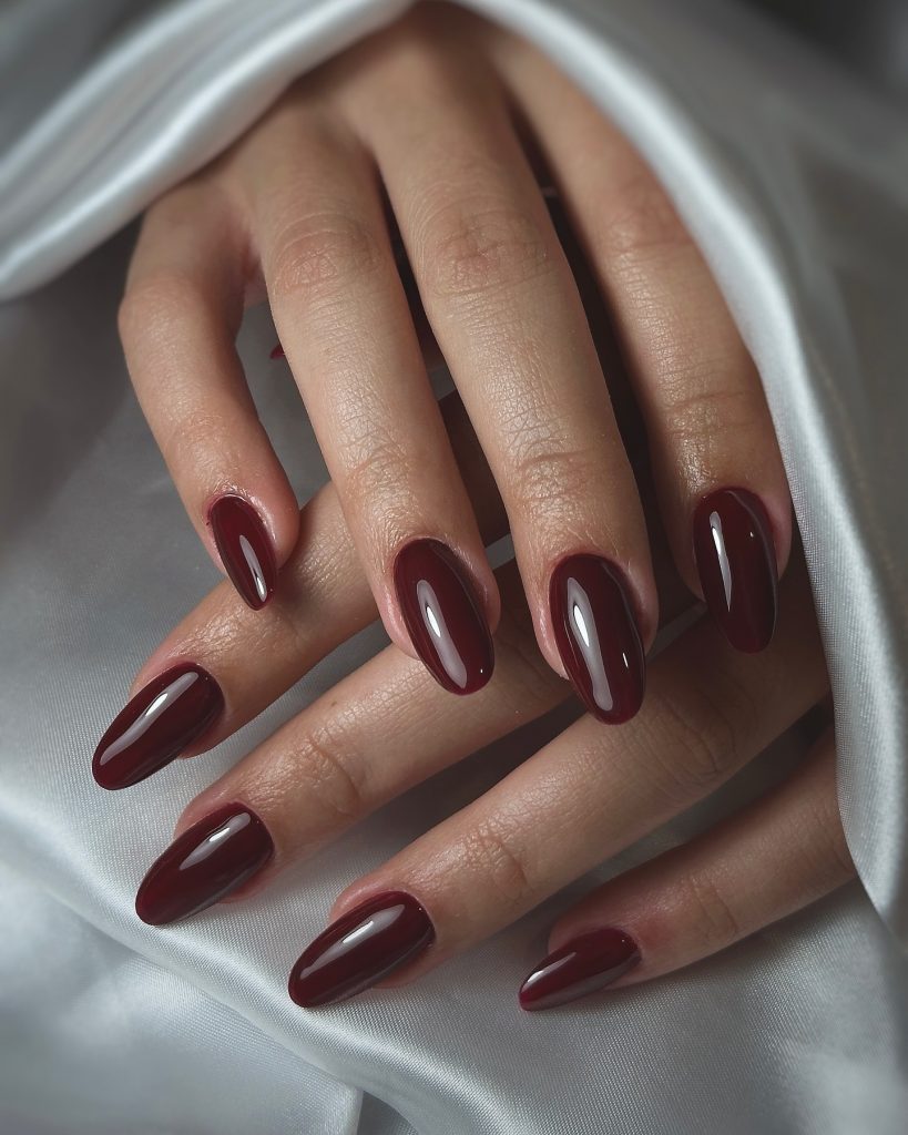 Winter Nails 2024 - 2025: Trends to Watch 25 Ideas