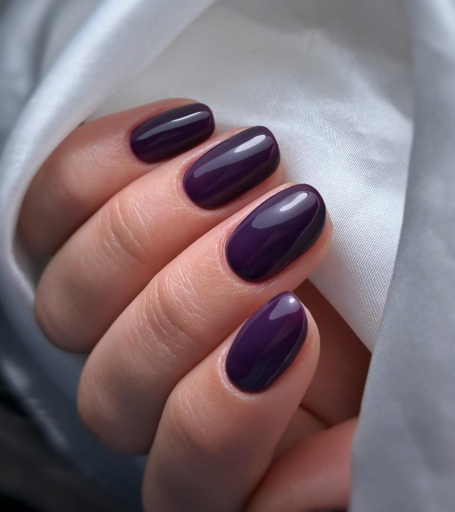 Winter Nails 2024 - 2025: Trends to Watch 25 Ideas