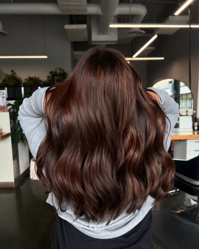 The Rich Appeal of Chocolate Brown Hair 22 Ideas: A Look into 2025 Trends