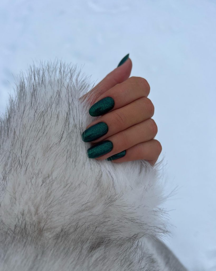 Winter Nails Acrylic 2024 - 2025: A Season of Boldness and Elegance 22 Ideas