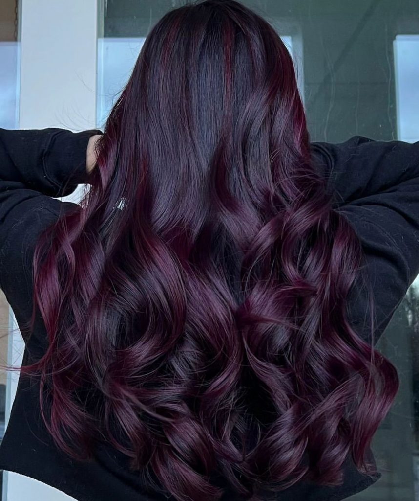 Black Cherry Hair Colors 2025: A Guide to Bold and Beautiful Shades 21 Ideas