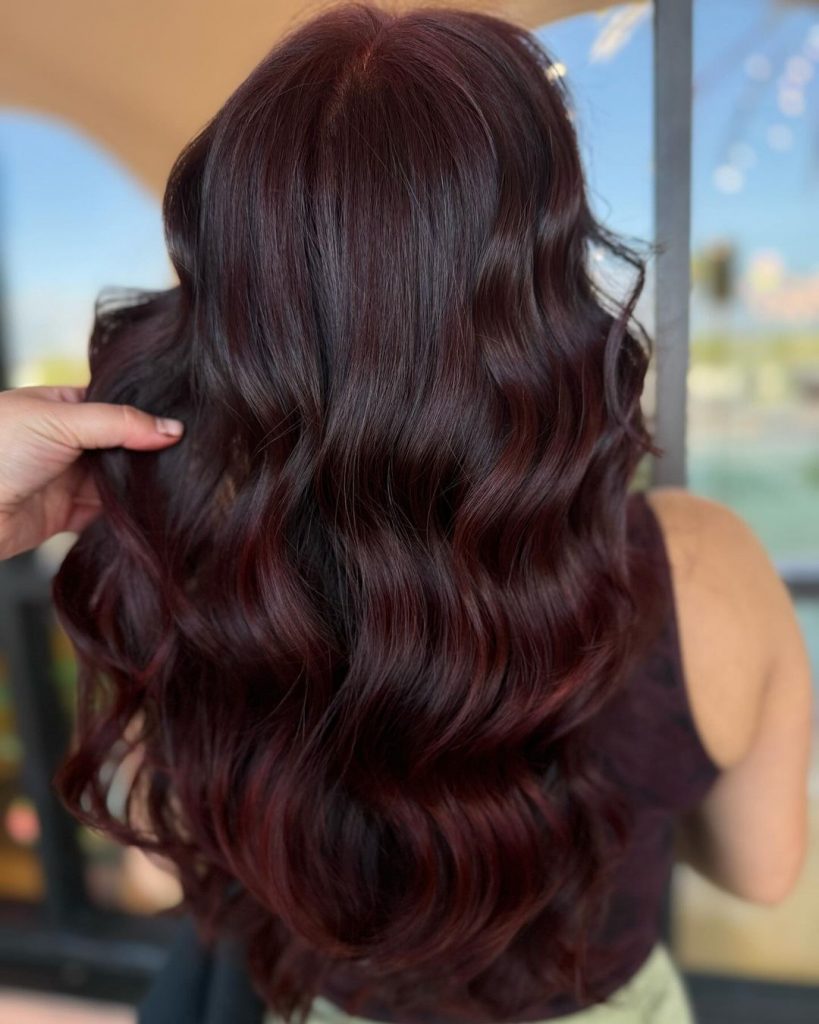 Black Cherry Hair Colors 2025: A Guide to Bold and Beautiful Shades 21 Ideas