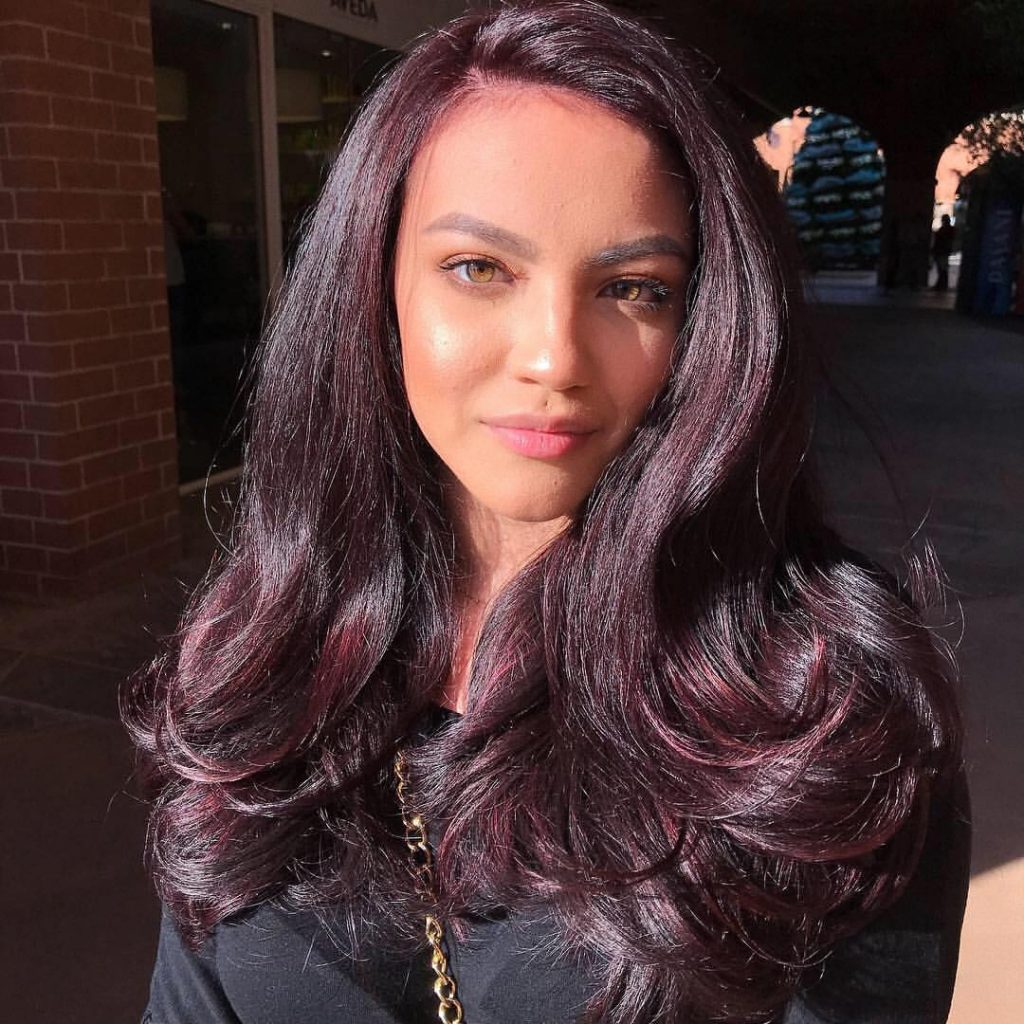 Black Cherry Hair Colors 2025: A Guide to Bold and Beautiful Shades 21 Ideas