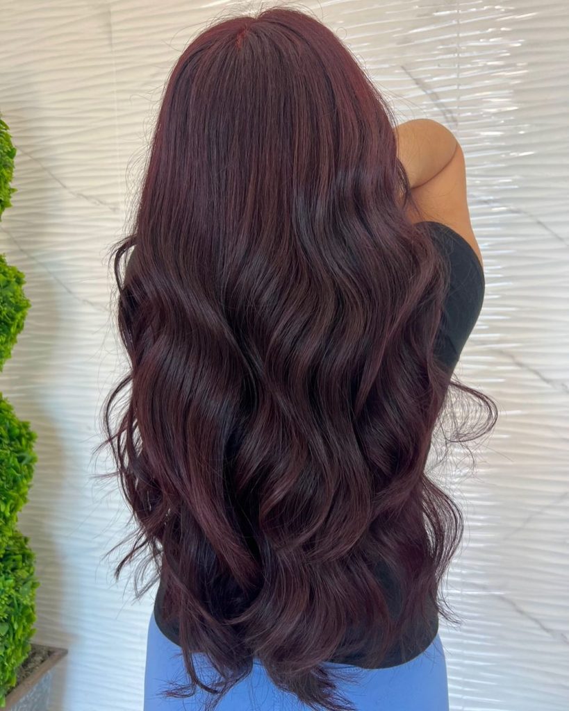 Black Cherry Hair Colors 2025: A Guide to Bold and Beautiful Shades 21 Ideas