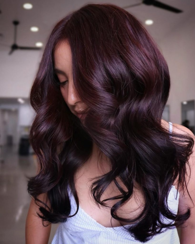 Black Cherry Hair Colors 2025: A Guide to Bold and Beautiful Shades 21 Ideas