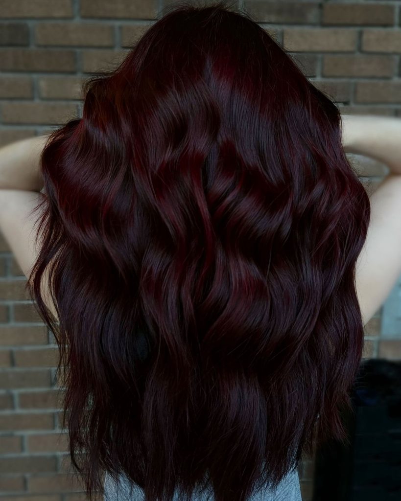 Black Cherry Hair Colors 2025: A Guide to Bold and Beautiful Shades 21 Ideas