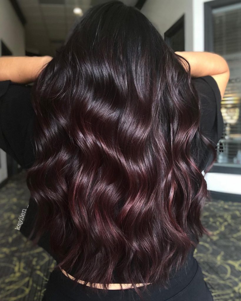 Black Cherry Hair Colors 2025: A Guide to Bold and Beautiful Shades 21 Ideas