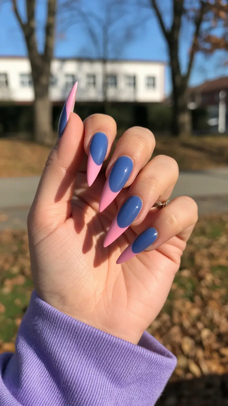 stiletto nail designs 2026 Blueberry Milk & Strawberry Dip